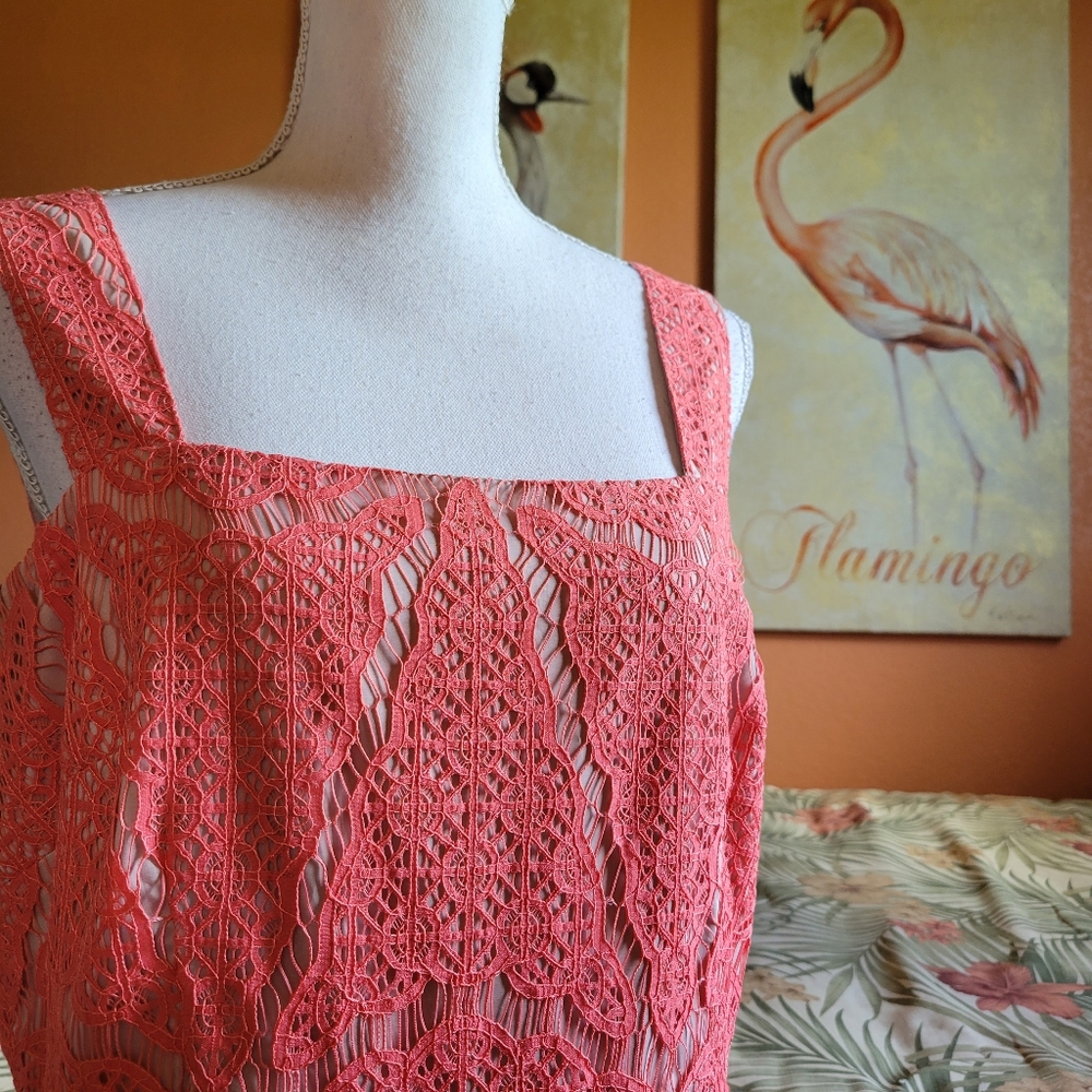 Adrianna Papell Lace Fit and Flare Dress Coral 14 Zipper Sleeveless Spring - Picture 3 of 14